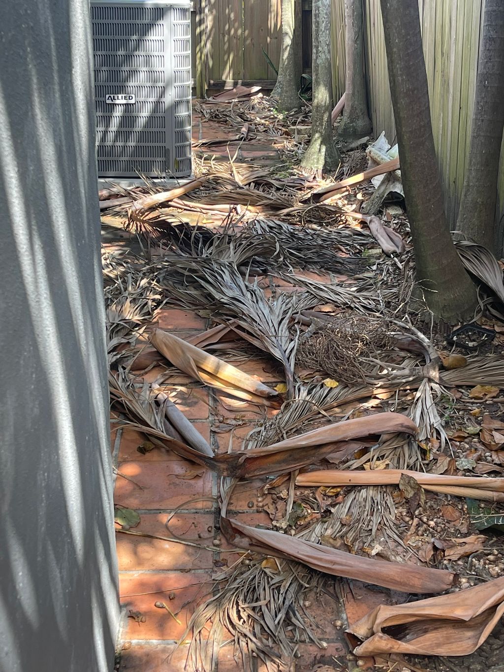 Before clean up 