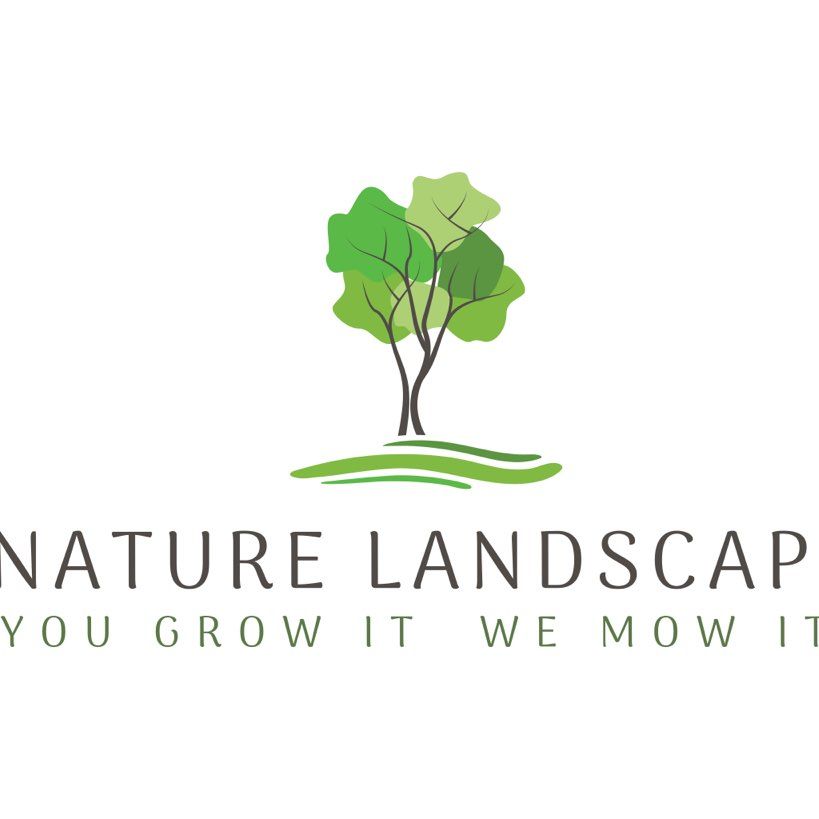 Nature landscape