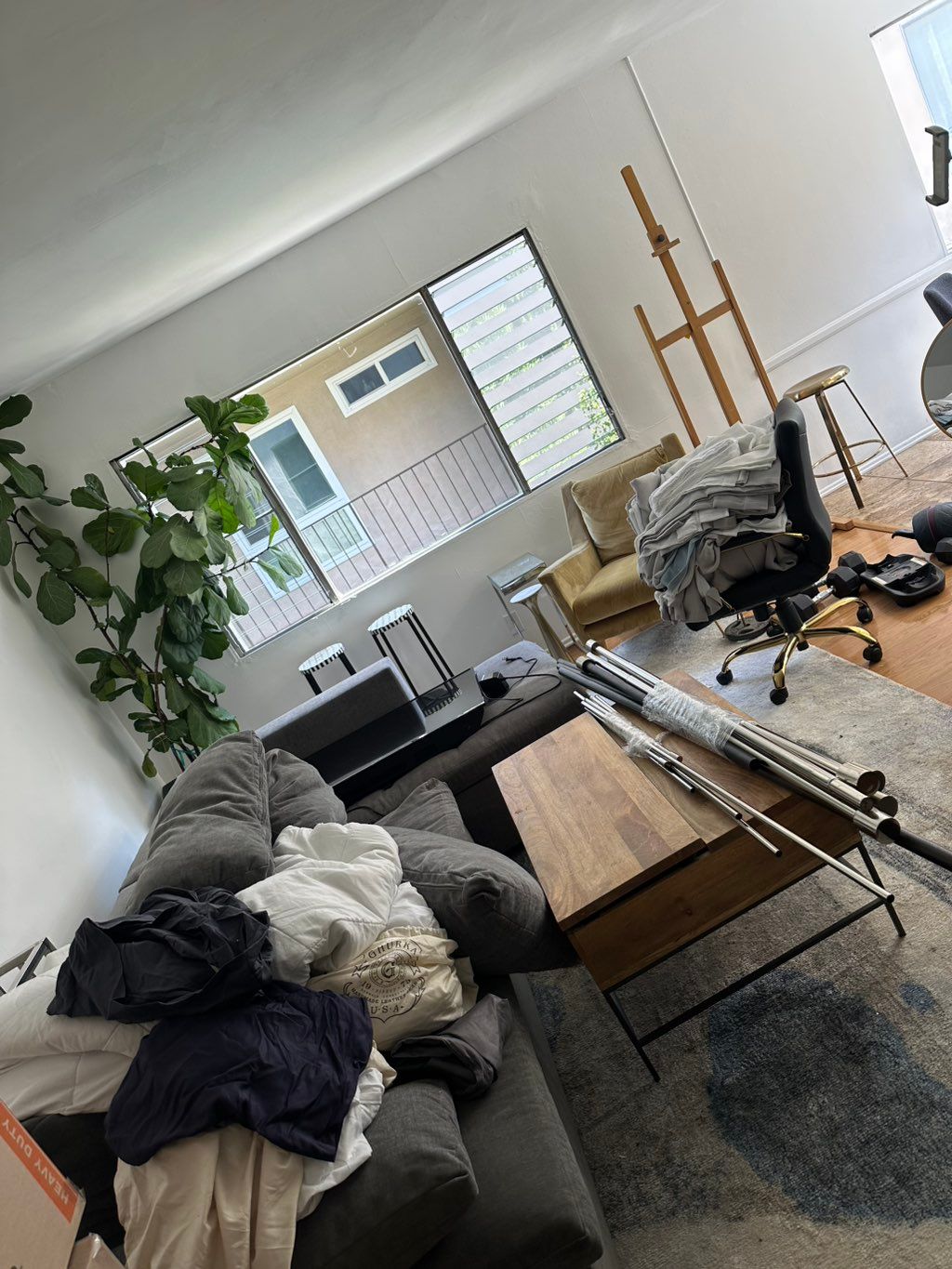 Projects and media