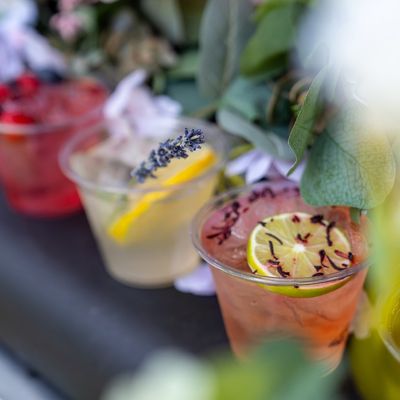 Avatar for The Secret Garden Mobile Bar