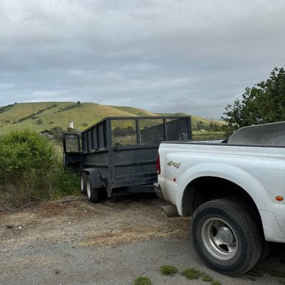 Avatar for Cf junk removal and transportation