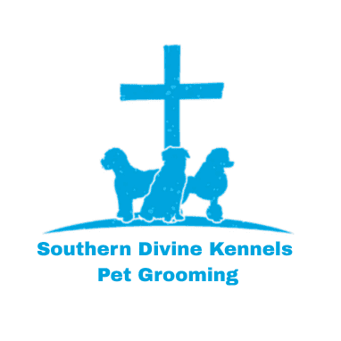 Avatar for Southern Divine Kennels Pet Grooming - Southport