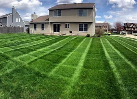TRUEGREEN LAWN AND JUNK SERVICE INC
