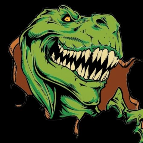 Dino Roofing Services