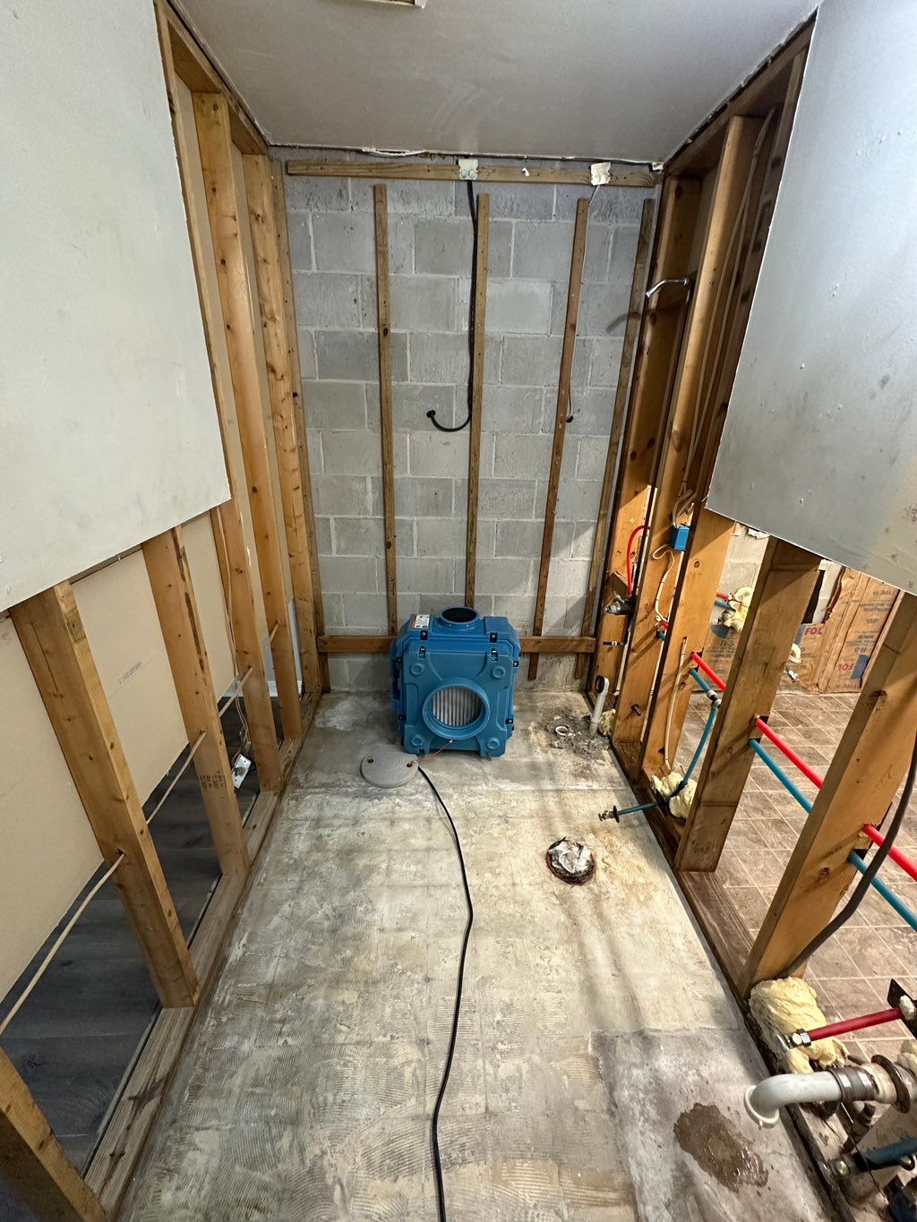 Projects and media