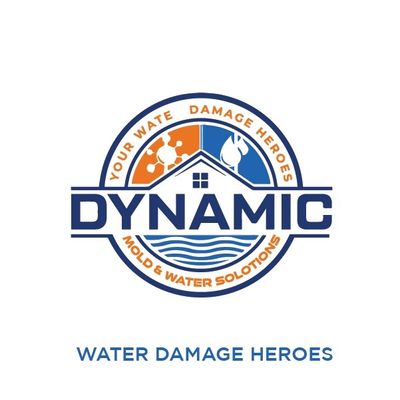 Avatar for dynamic mold and water solutions