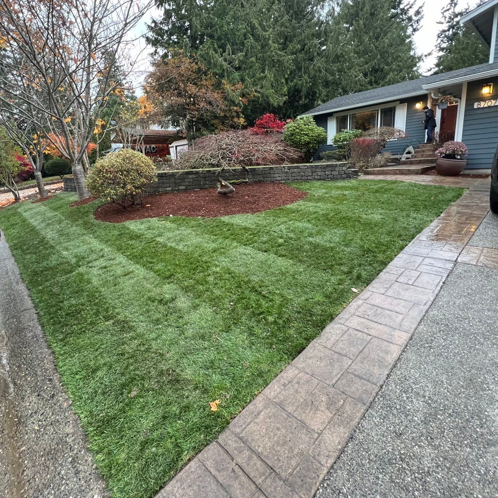 M & D landscape