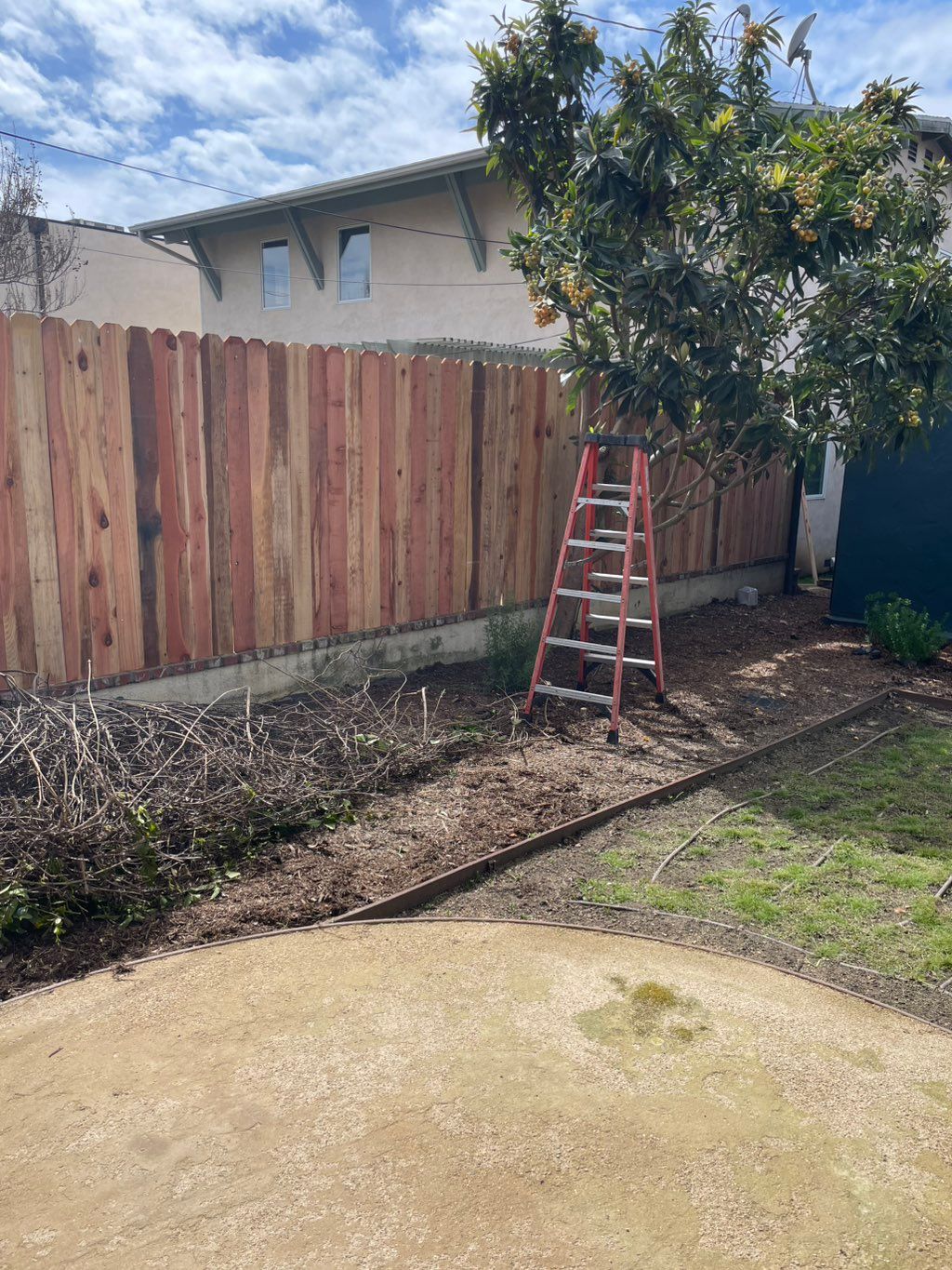 New wood fence 
