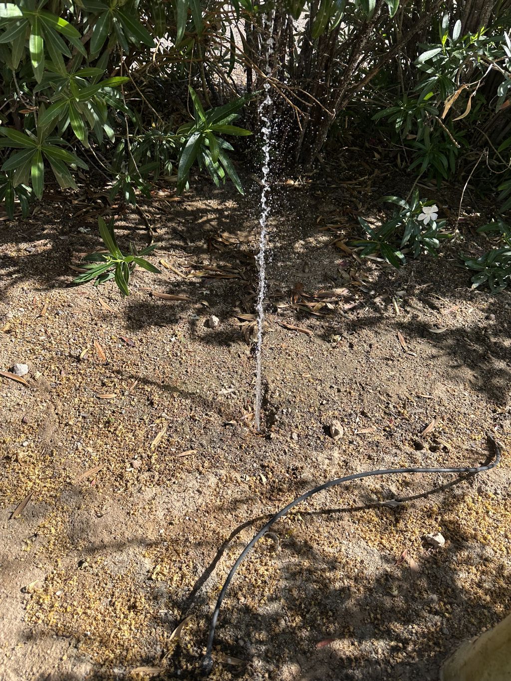 Uh oh! I can fix those pesky sprinkler leaks!