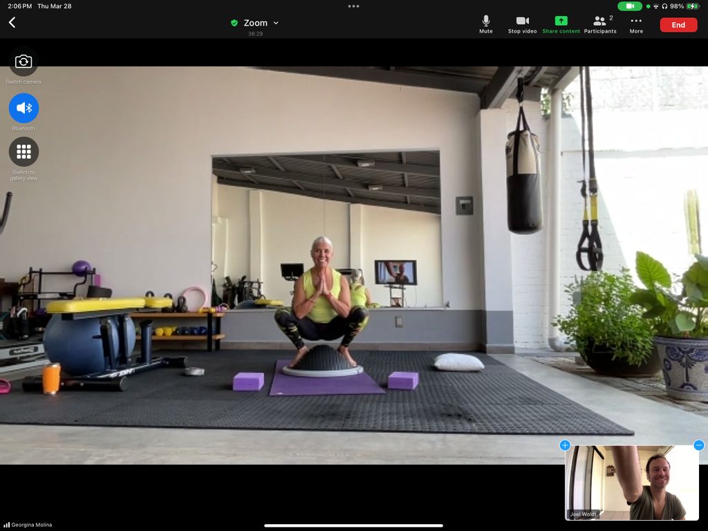 Client Georgina doing deep squats on a bosu ball a
