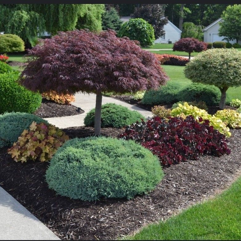 Top Landscaping