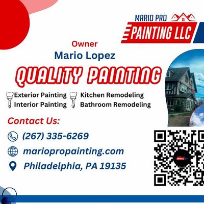 Avatar for Mario pro painting LLC