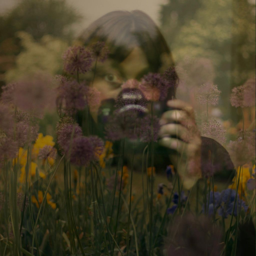 Andrea Lantz Photography - PDX