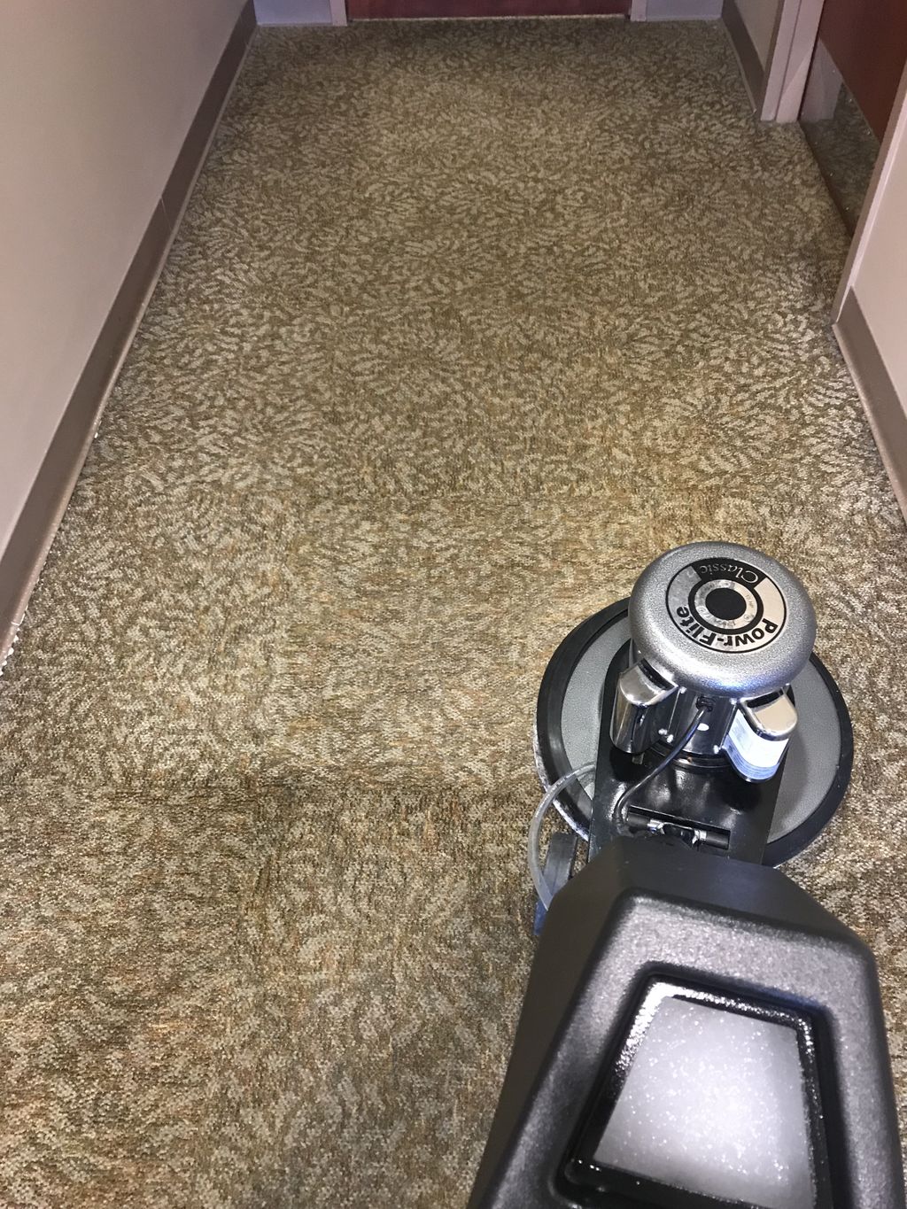Commercial Carpet Cleaning in Daytona Beach, FL by