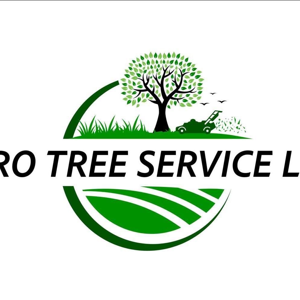 Pro Tree Service