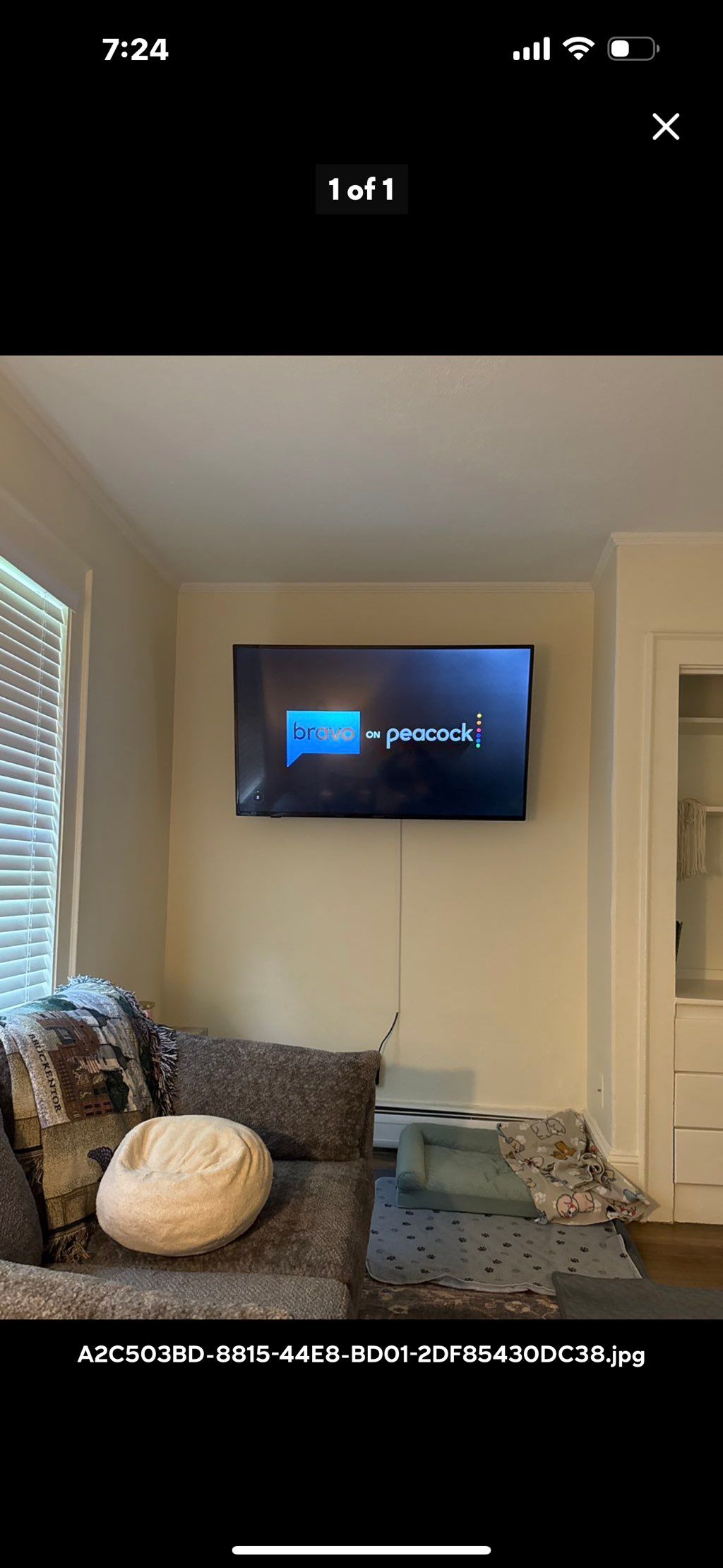 Projects and media