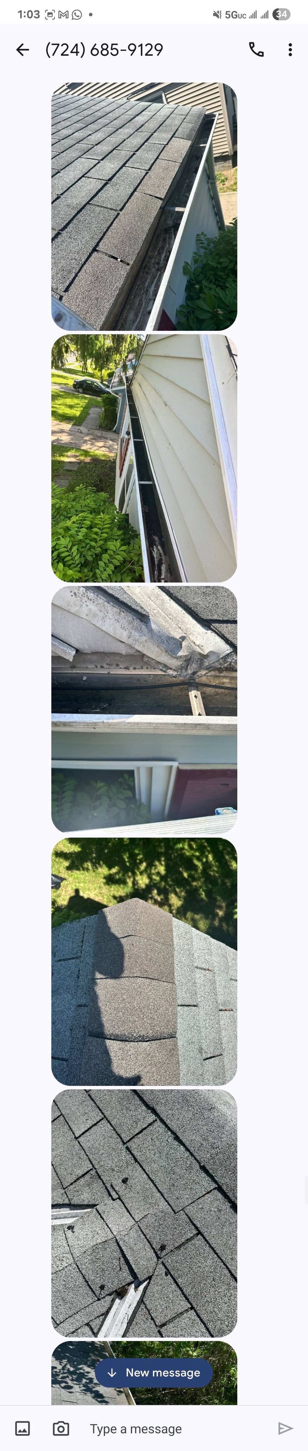 Projects and media