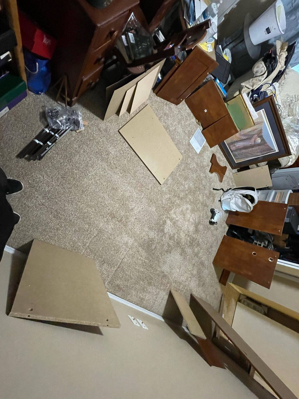 Projects and media