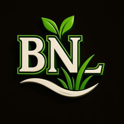 Avatar for Brother N Lawn LLC