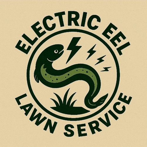Electric Eel Lawn Service