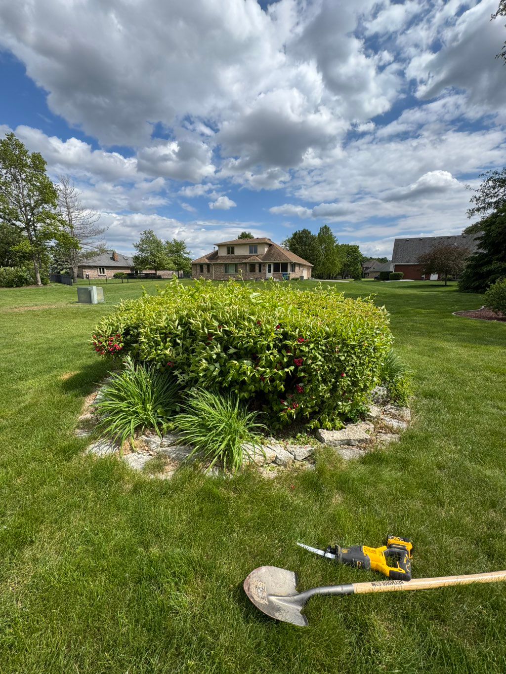 Customer request to Remove large Bushes at the roo