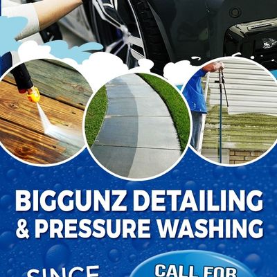 Avatar for Biggunz Pressure Washing