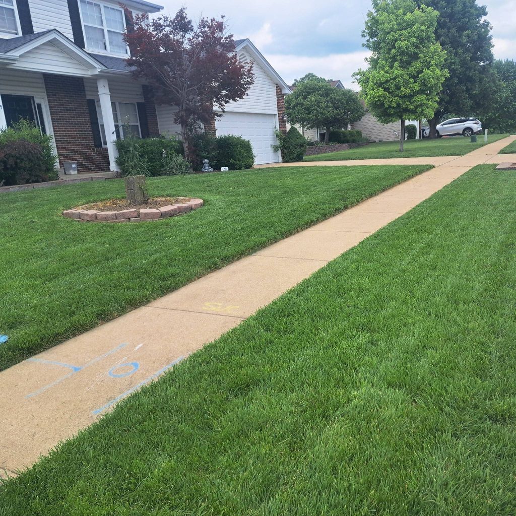 Angel lawn services