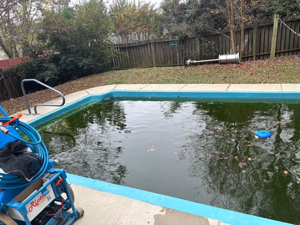 Green Pool BEFORE