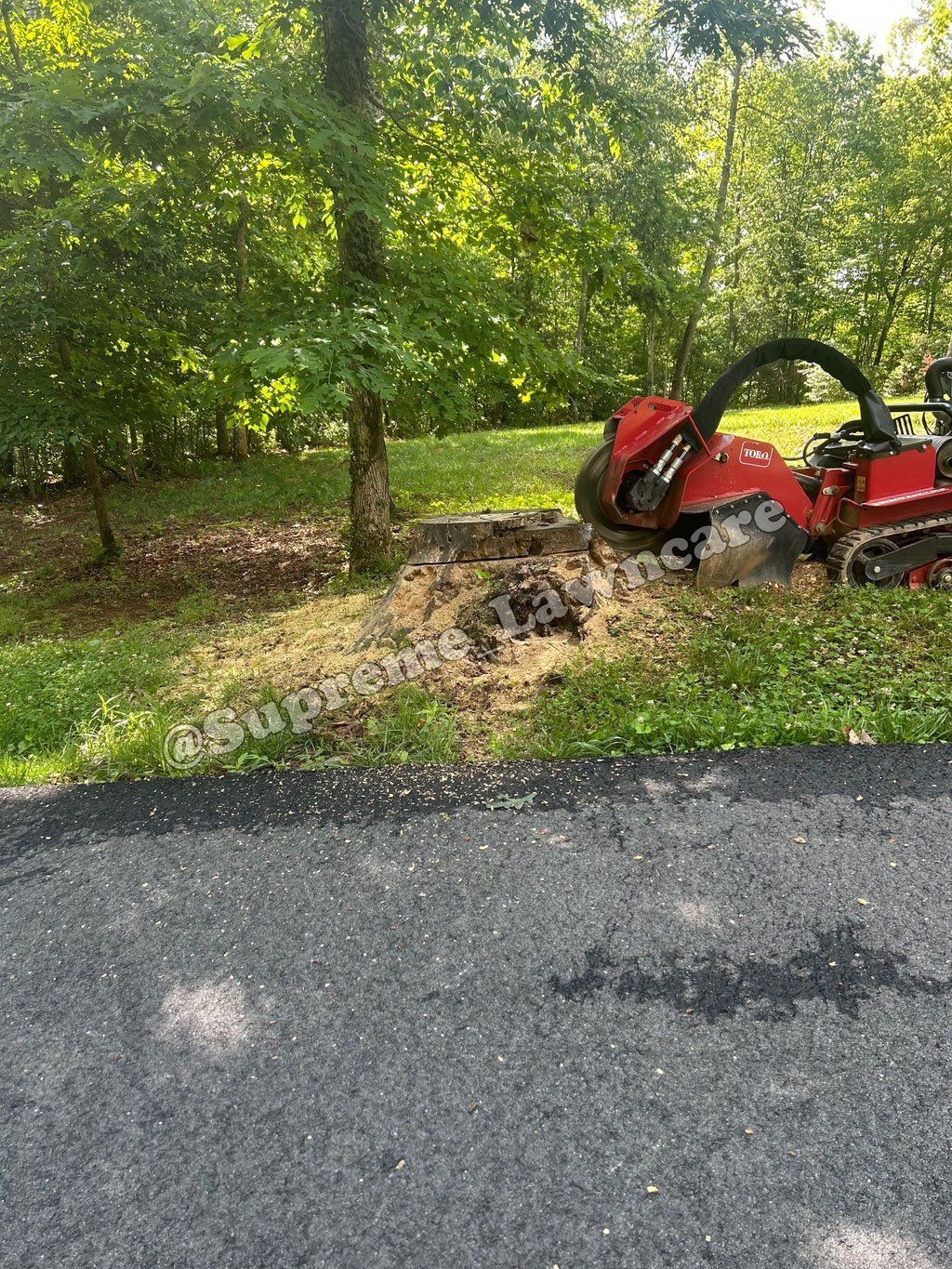 Stump Grinder