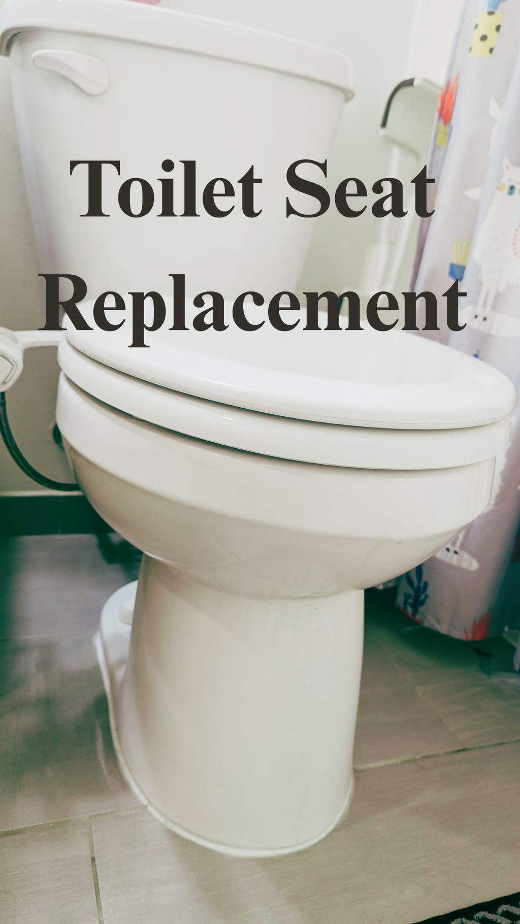 Toilet Seat Standard and custom seat replacement a