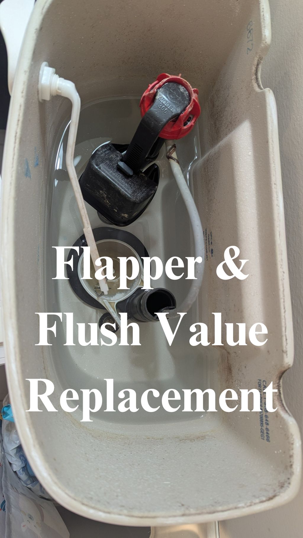 Flapper and Flush Valve Replacement