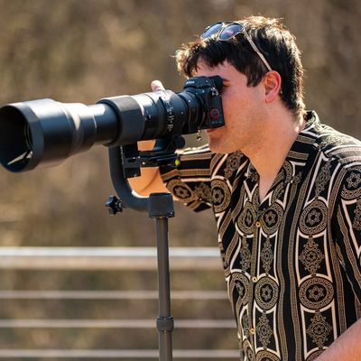 Avatar for Sunsets Photography