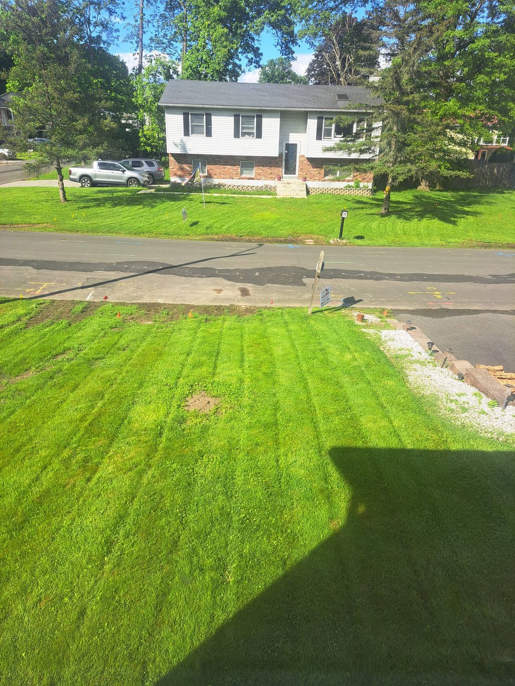 Customer photos