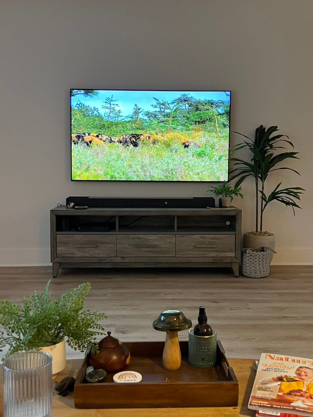 Projects and media
