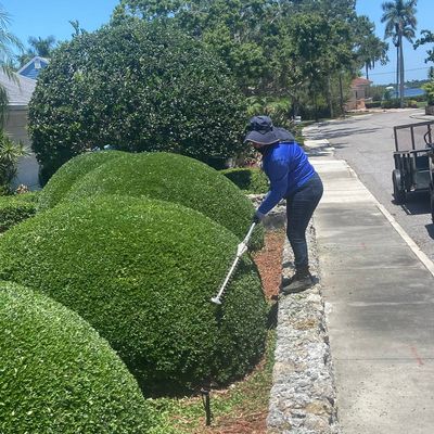 Avatar for González   Lawn Service