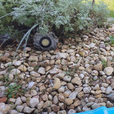 Avatar for mikes lawn/repairs