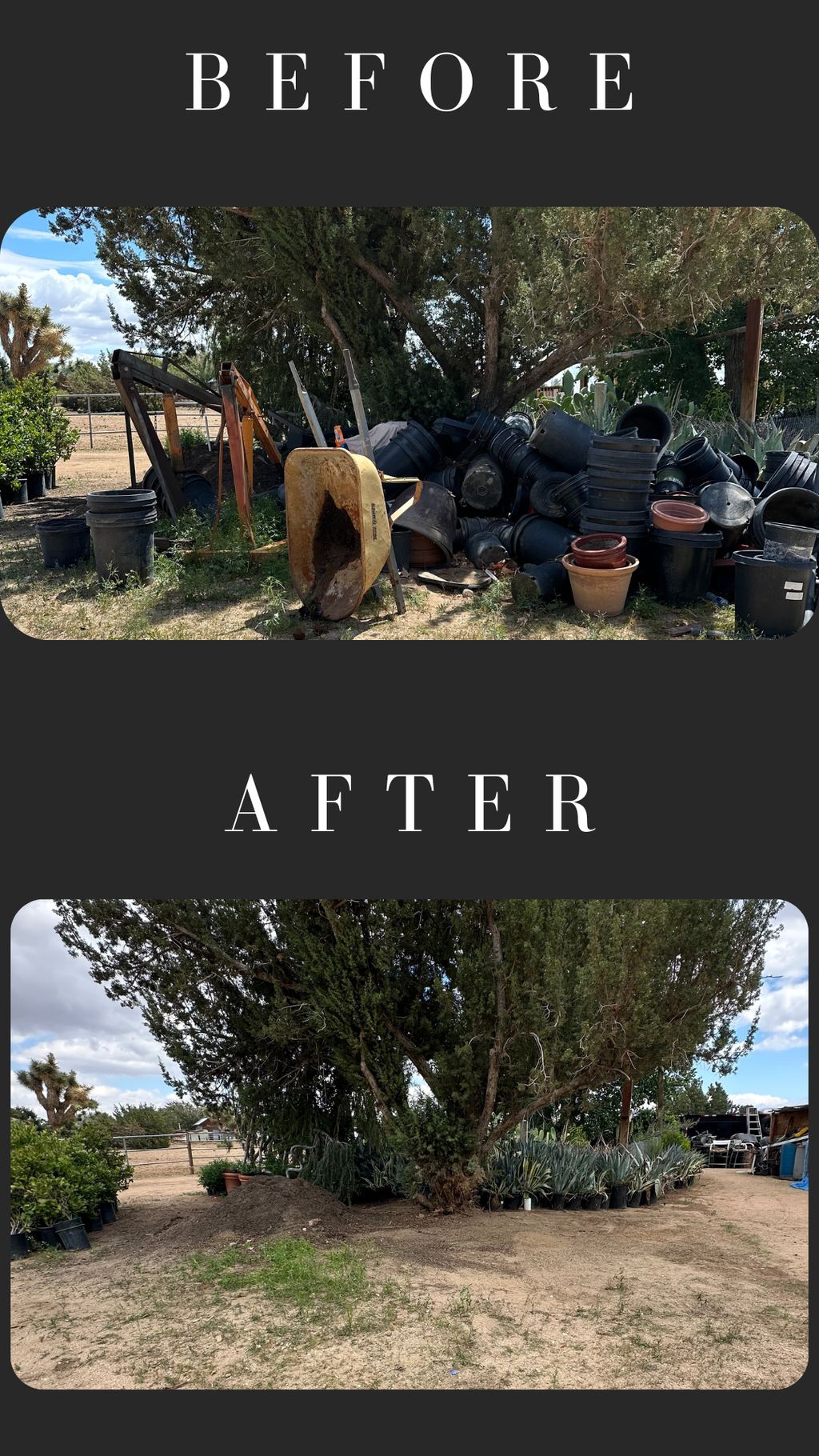 Before and after pics.