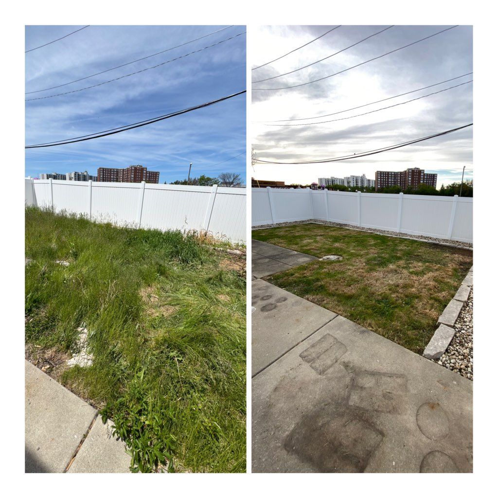 Customer needed a clean up of tall overgrown area.