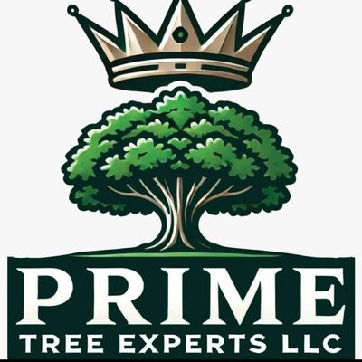 Avatar for PRIME TREE EXPERTS LLC