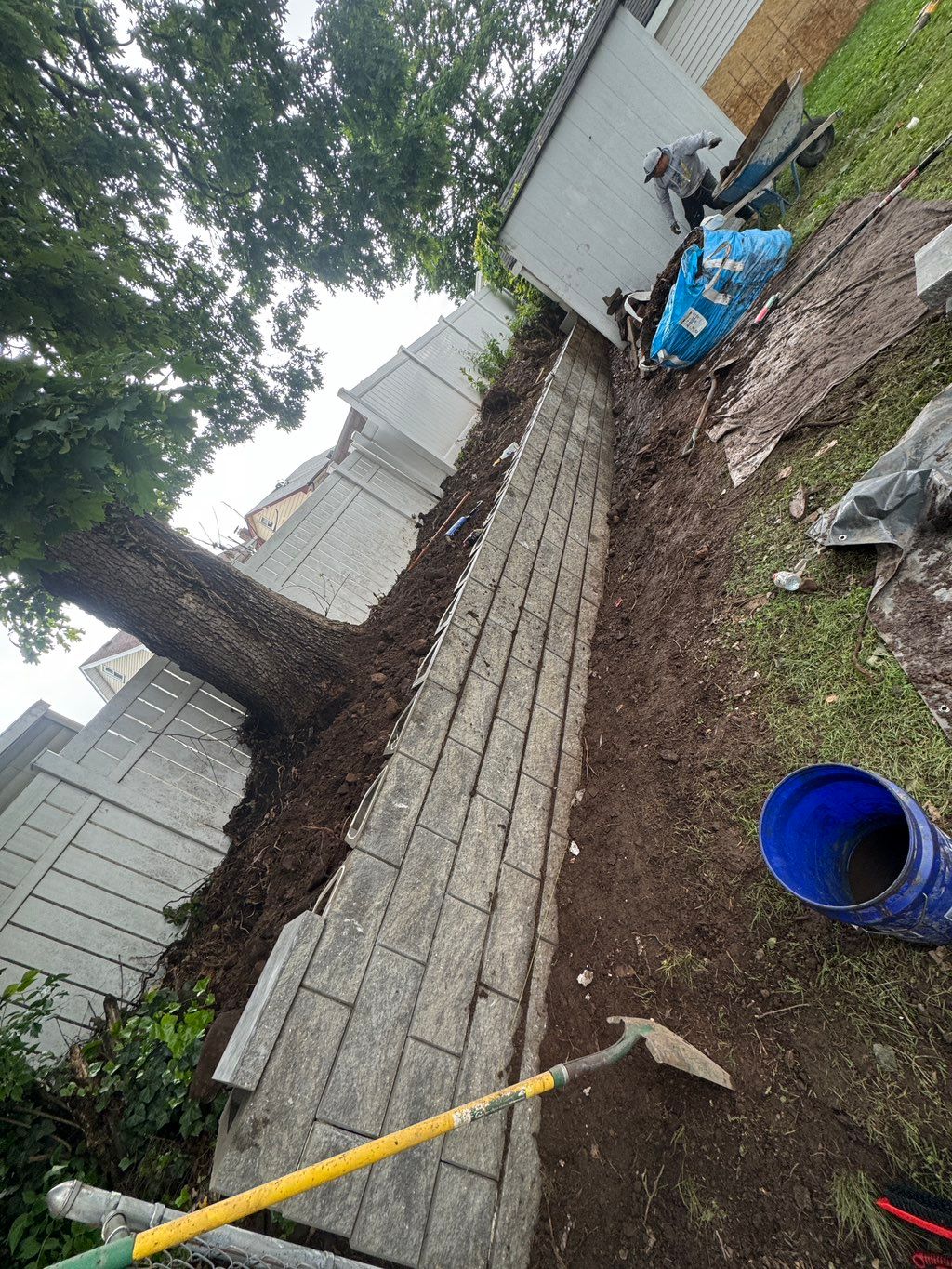 Projects and media
