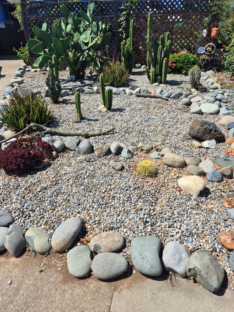Drought Tolerant design from scratch