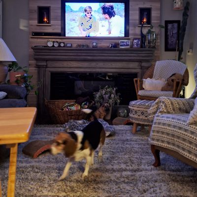 Avatar for Hound Dog Renovations LLC