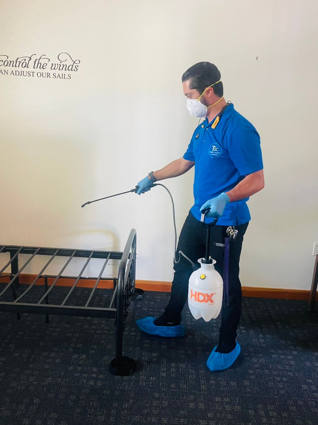 Extra service: Sanitizing/Disinfecting 