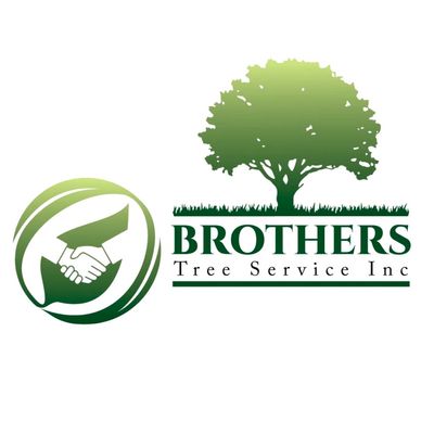 Avatar for Brothers Tree Service Inc