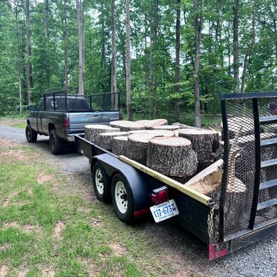 Avatar for Virginia tree and landscaping