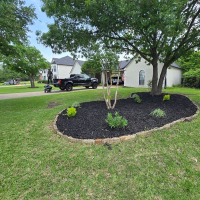 Avatar for yimi landscaping
