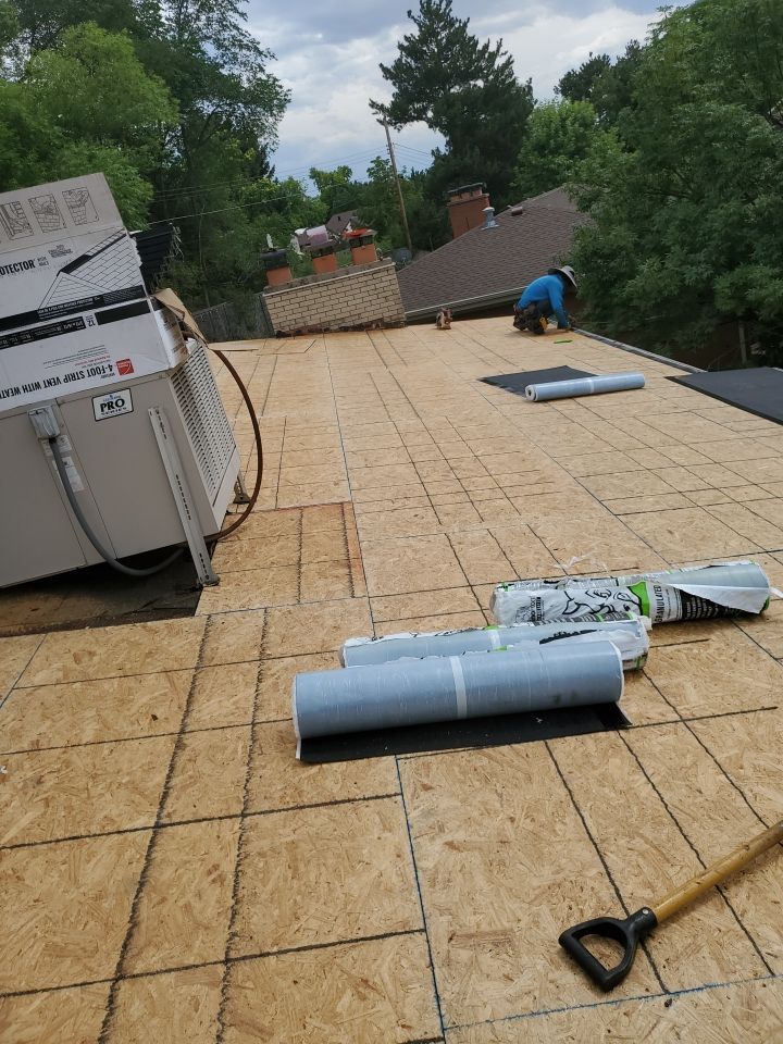 Projects and media