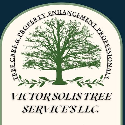 Avatar for Victor Solis Tree Service's LLC