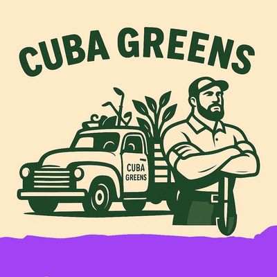 Avatar for cleaning cuba