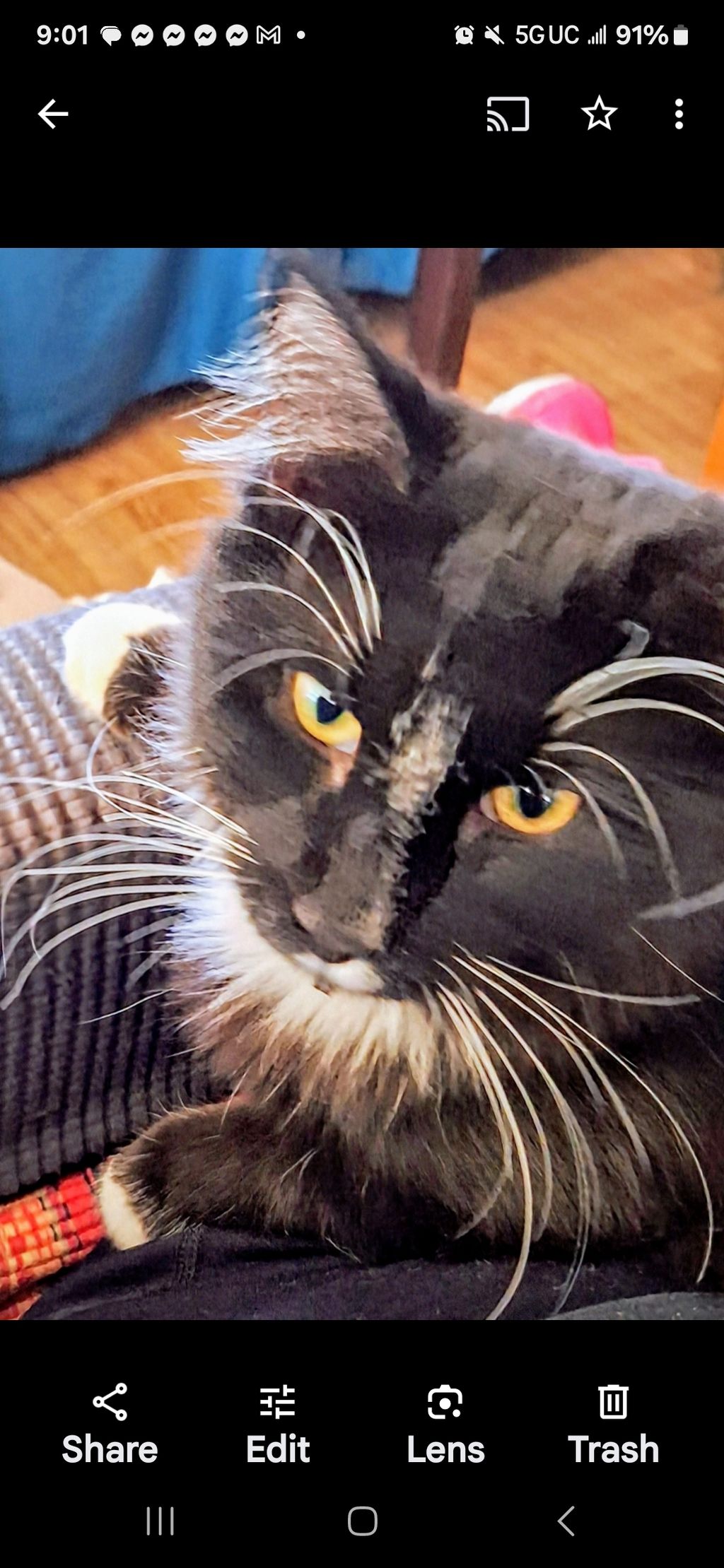 my Smudge